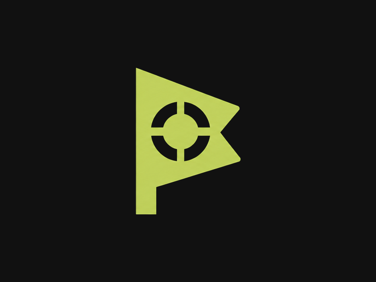BashCTF Captured Signal logo